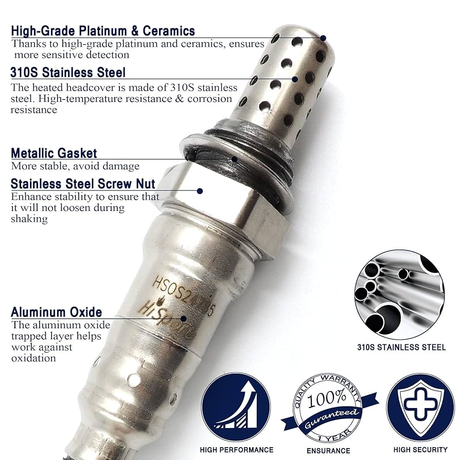 *p(R)ojectR® THE RAMPAGE LIMITED LIVE 2024 *p(R)ojectR® at TOKYO DOME